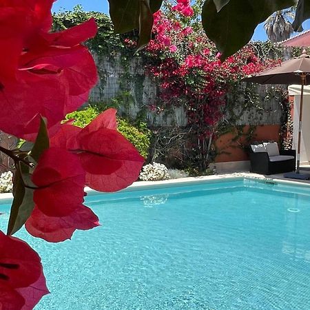 Studio With Private Swimming Pool And Garden Cascaes Exterior foto