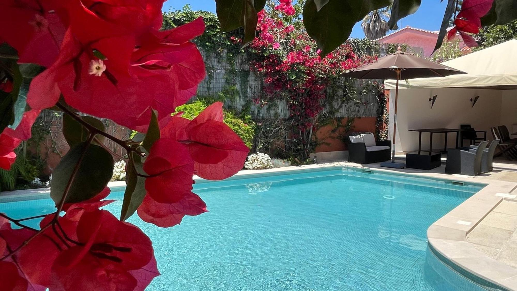 Studio With Private Swimming Pool And Garden Cascaes Exterior foto